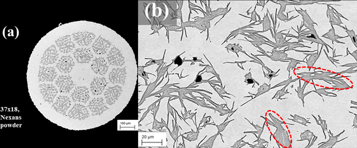 (a) A cross section view of a Bi-2212 superconducting round wire (b) a closeup of some of the bundles from the same cross section. 