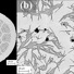 (a) A cross section view of a Bi-2212 superconducting round wire (b) a closeup of some of the bundles from the same cross section. 