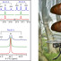 The representative stacked spectra in each set are from metabolic stages of pupae during the dormancy period: A) interbout of metabolic arousal (IBA), B) early metabolic depression, and C) late metabolic depression.