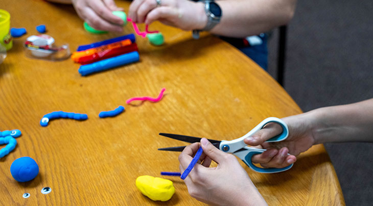 Gather pieces to make a bacteria