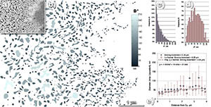 Size distributions