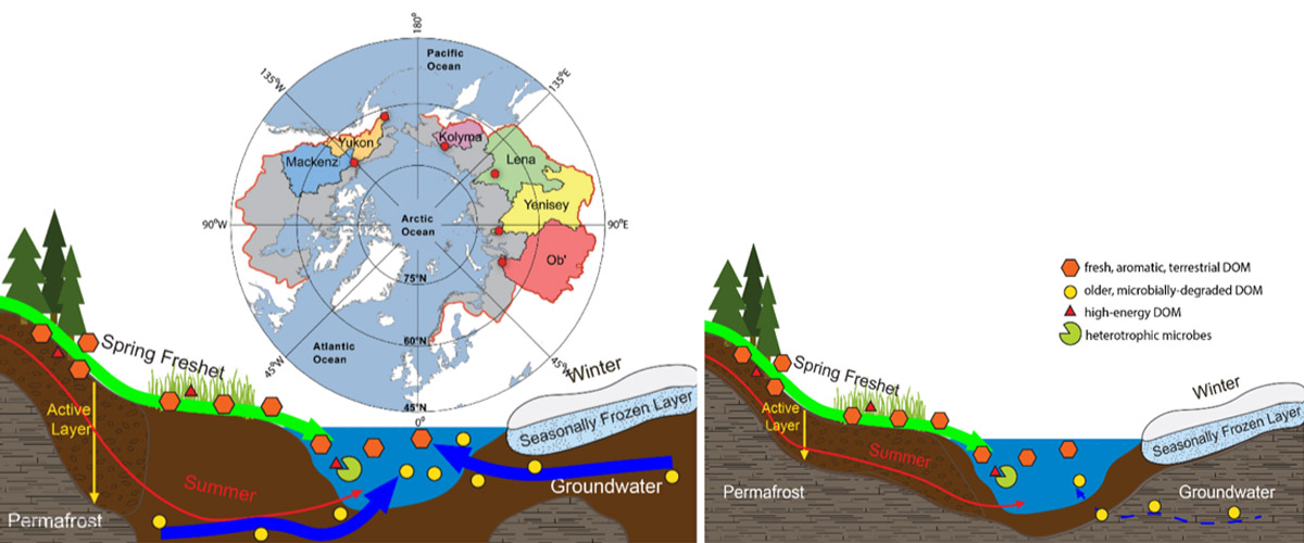 Map of the drainage basins of six Arctic rivers, with water sampling points shown in red