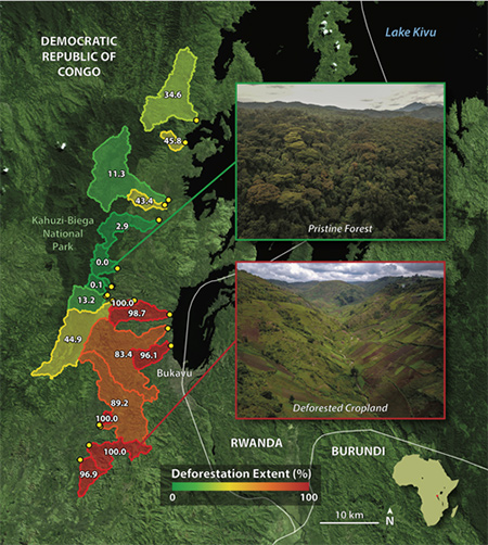 Tropical areas like the Congo are experiencing widespread deforestation and land-use conversion for agriculture.