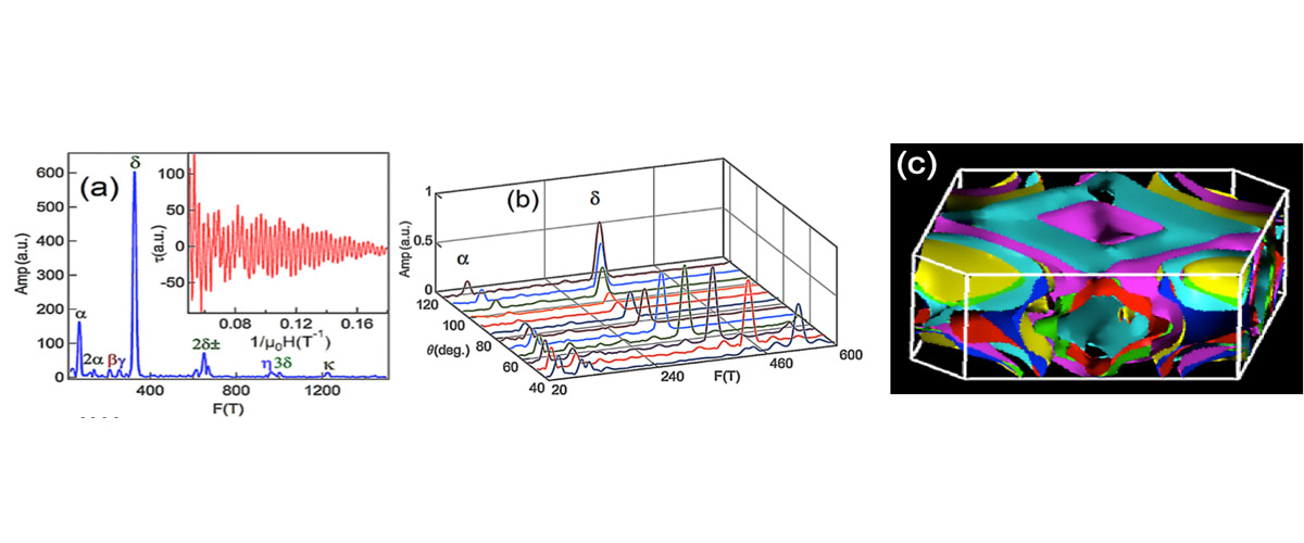 The calculated Fermi surface of BiPd projected into the first Brillouin zone. It is complex, 3-dimensional, and composed of multiple sheets.