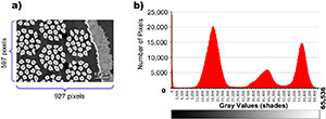 Complex histogram