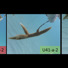 Three genotypes of Acropora cervicornis from an established coral nursery near Tavernier, FL used in this study.