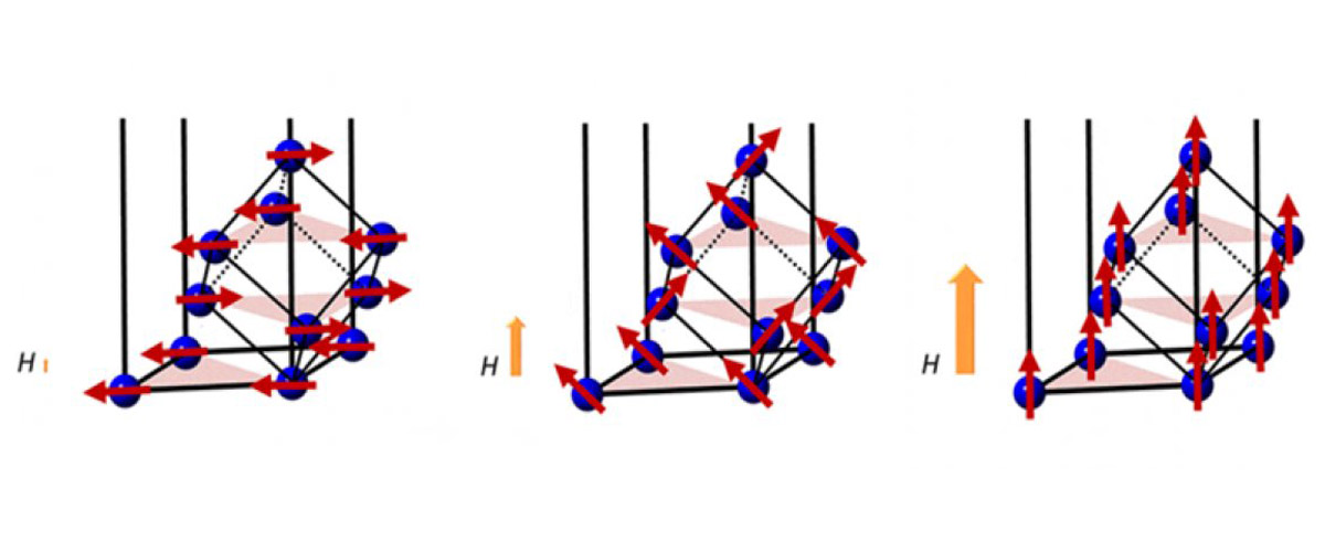 An illustration of the step-wise metamagnetic transition of a new quantum material discovered in the lab of Rice physicist Emilia Morosan.