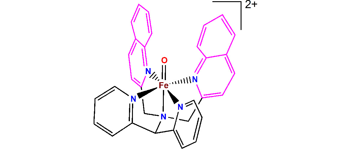 The structure of one of the oxoiron(IV) complexes.