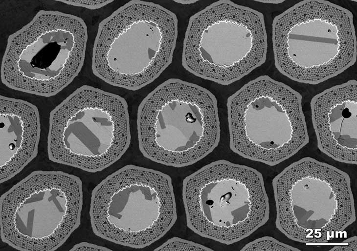 A group of filaments that were heated to 400 degrees Celsius for eight hours. Rings of Nausite (the squiggly, white circles), which can impair performance, have formed around the filaments’ copper-tin core, suggesting problems with this heat treatment method.