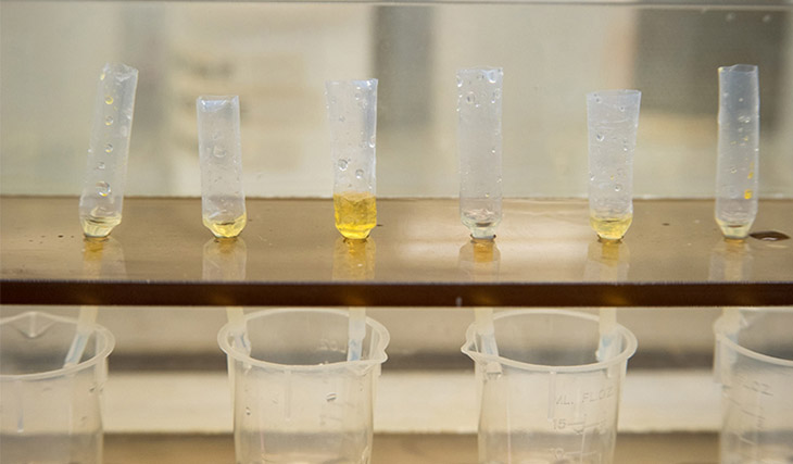 Rock samples are purified to test for thallium isotopes at the National High Magnetic Field Laboratory.