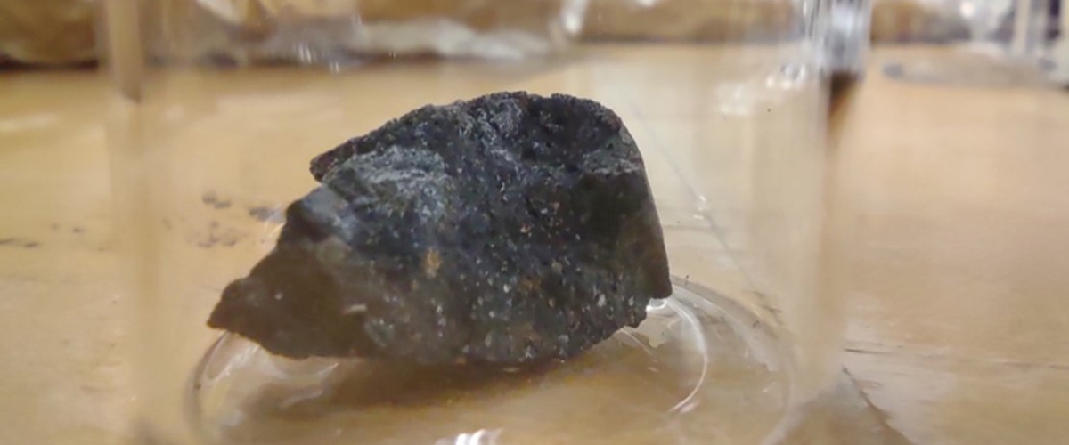 Murchison Meteorite