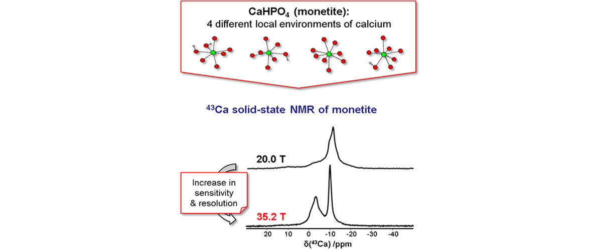 Magnetic Resonance studies of calcium to measure the local environments around the calcium atoms.