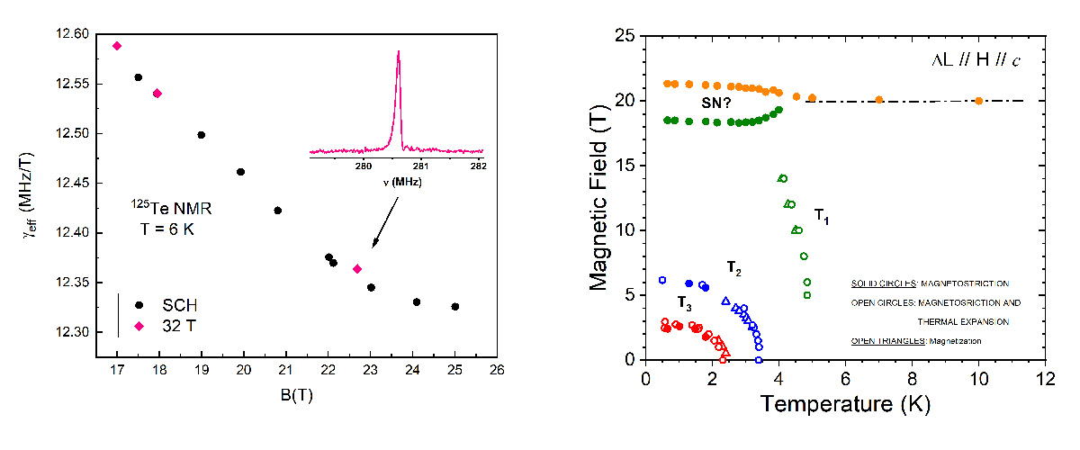 (Left) 125Te spectral line and effective gamma with respect to magnetic field. Black circles are from the 36T Series Connected Hybrid while the pink diamonds are from the new HTS 32T magnet. (Right) Phase diagram for H//c highlighting the possible spin-nematic state. [PRB 94 064403 2016] Solid circles are from magnetostriction. Open circles from magnetostriction and thermal expansion. Open triangles from magnetization.