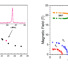 (Left) 125Te spectral line and effective gamma with respect to magnetic field. Black circles are from the 36T Series Connected Hybrid while the pink diamonds are from the new HTS 32T magnet. (Right) Phase diagram for H//c highlighting the possible spin-nematic state. [PRB 94 064403 2016] Solid circles are from magnetostriction. Open circles from magnetostriction and thermal expansion. Open triangles from magnetization.