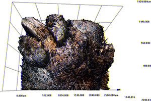 open house moth laser scanning thumbnail