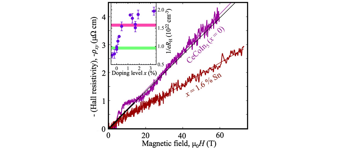 A quantum phase transition detected using pulsed fields. On one side of the transition (purple curve) the Hall resistivity grows steeply with field, once the linear regime has been accessed in high magnetic fields; on the other side (red curve), the increase is slower. Inset: the quantum phase transition is evidenced by the steep jump with increasing electron concentration in data from a dozen samples.